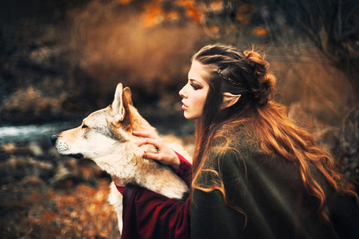 1755562 (a): :2000x1333